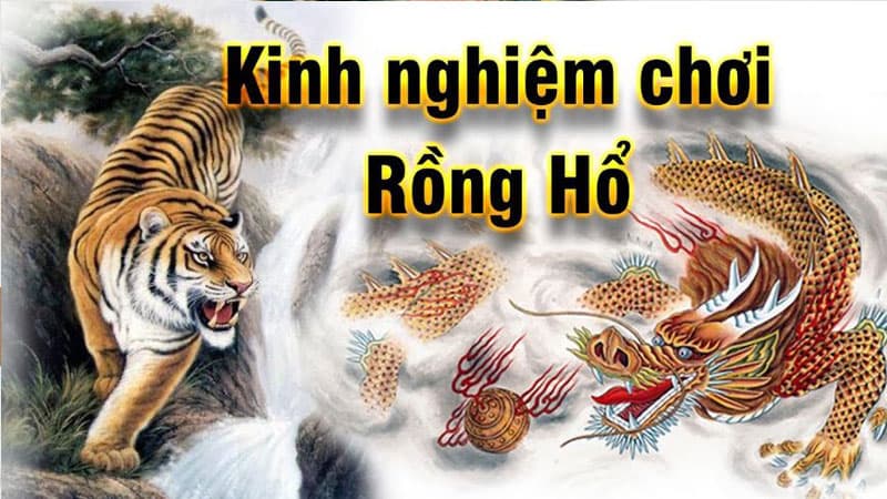 Chiến lược chơi Rồng Hổ hiệu quả